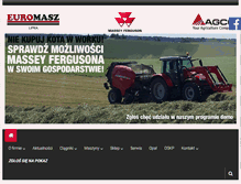 Tablet Screenshot of euromasz.pl
